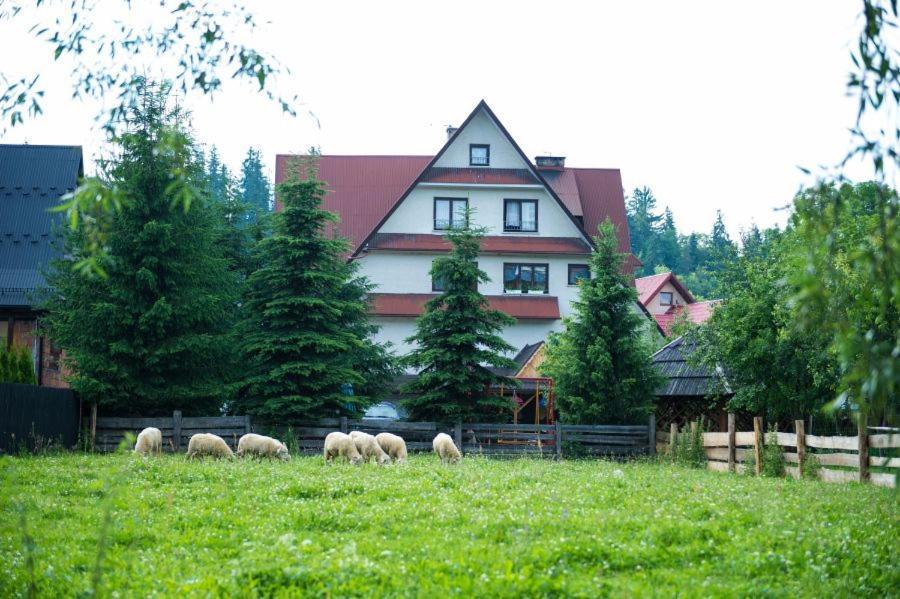 Osrodek Wczasowo-Kolonijny Gron Bed & Breakfast Biały Dunajec Dış mekan fotoğraf